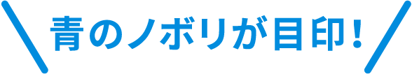 파란색 노보리가 표지!